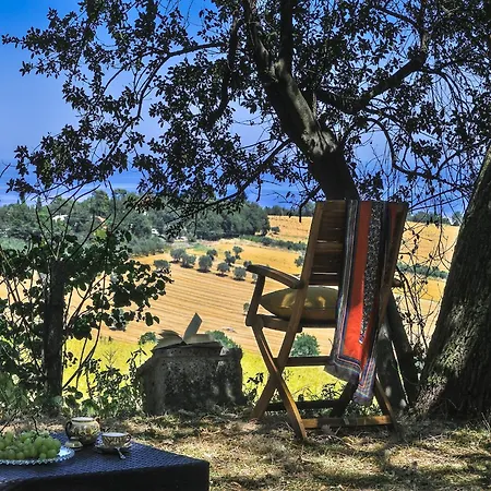 In With Garden Bbq Senigallia