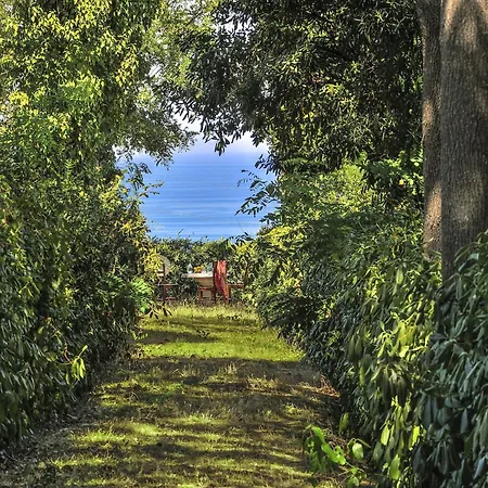 In With Garden Bbq Vakantiehuis