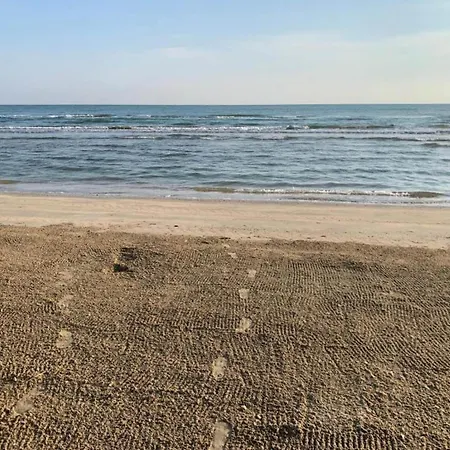 Vakantiehuis In With Garden Bbq