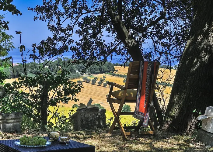 In With Garden Bbq Senigallia