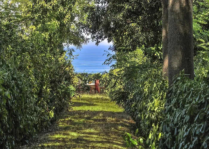 In With Garden Bbq Ferienhaus