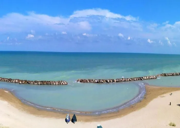 In With Garden Bbq Senigallia